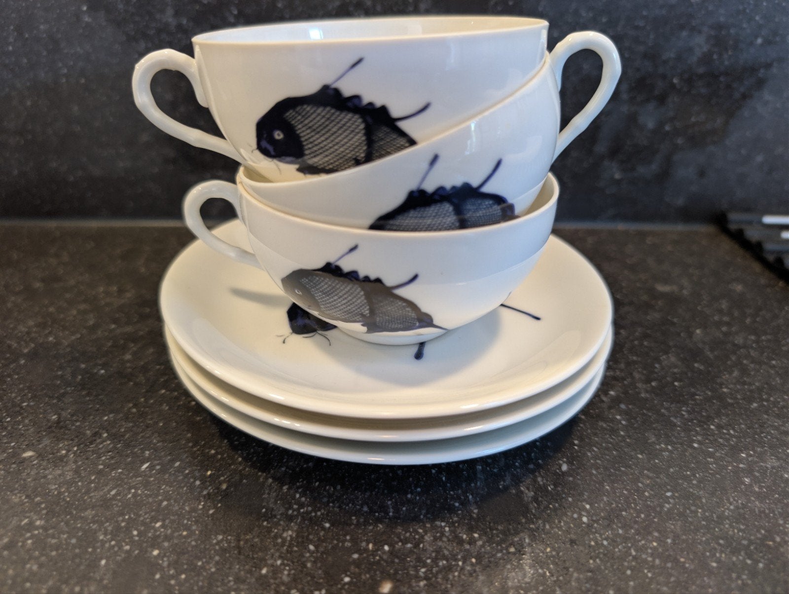 Fine China Kop en Schotel Set met Vissenmotief, Ophalen of Verzenden, Zo goed als nieuw, Overige stijlen, Kop(pen) en/of Schotel(s)