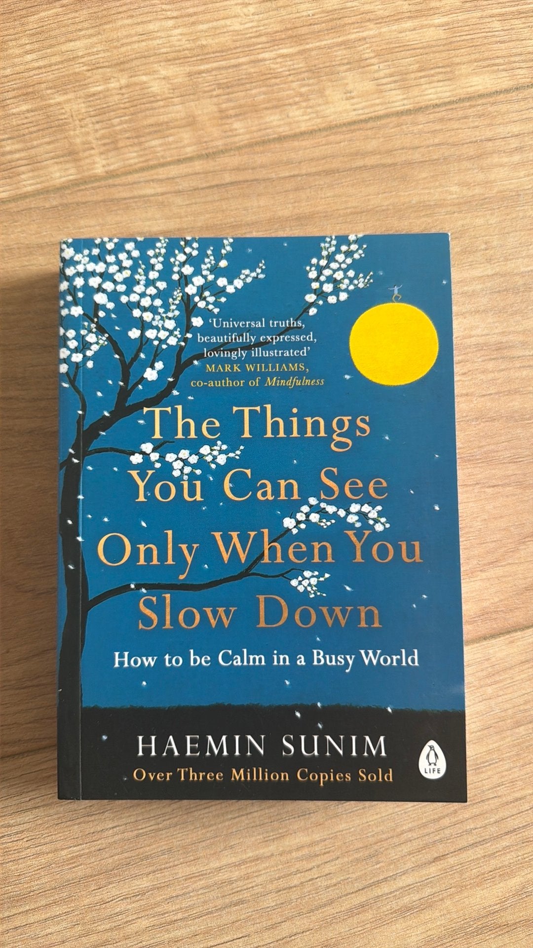 The Things You Can See Only When You Slow Down, Boeken, Esoterie en Spiritualiteit, Ophalen of Verzenden, Haemin Sunim, Overige typen