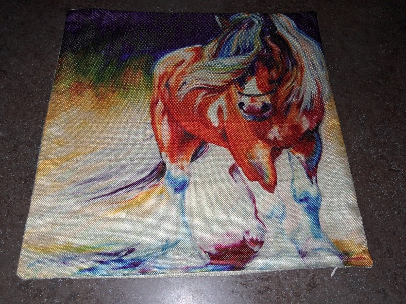 kussenhoes tinker/shire/clydesdale paard, Ophalen of Verzenden, Zo goed als nieuw, Vierkant