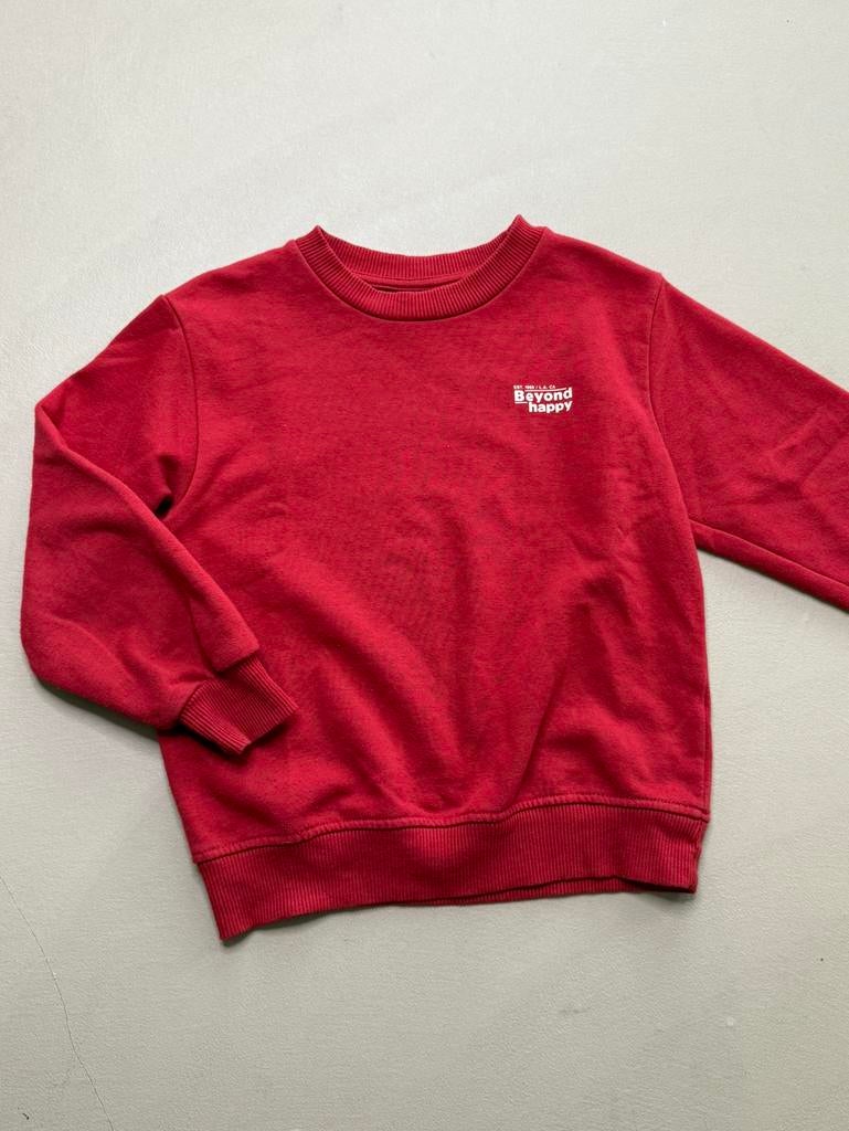 Zara jongens trui maat 116, Ophalen of Verzenden, Gebruikt, Jongen, Trui of Vest
