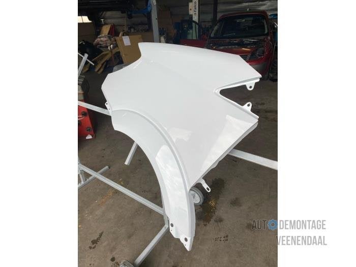 Scherm links-voor van een Mercedes Sprinter (9147), -, Nieuw, Ophalen of Verzenden, -