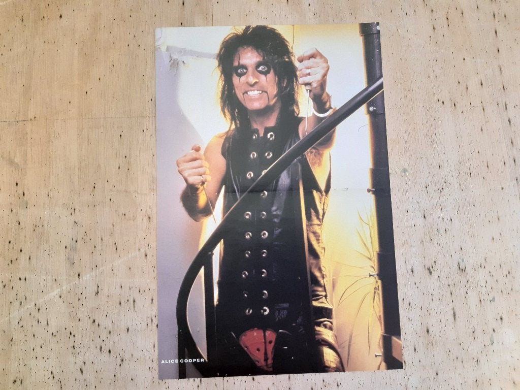 Poster Alice Cooper Formaat A3 26x40 cm André Agassi, Rechthoekig Staand, Ophalen of Verzenden, Zo goed als nieuw, A1 t/m A3