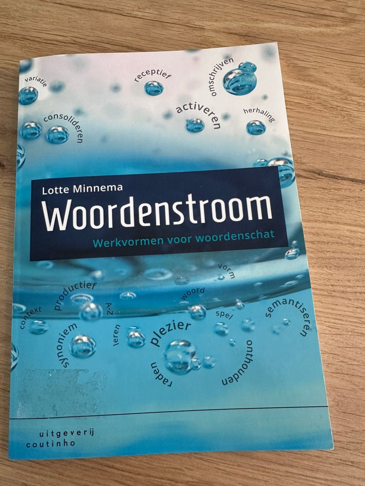 Woordenstroom NT2, Ophalen of Verzenden, Zo goed als nieuw, Lotte Minnema