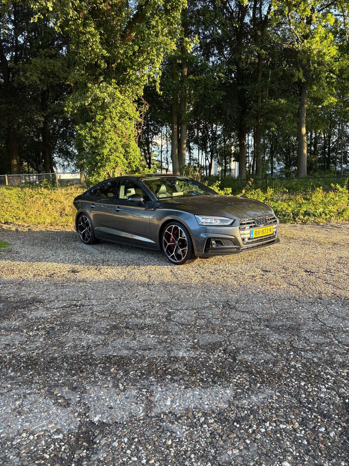 Audi S5 3.0 Tfsi Quattro 354pk, 2995 cc, Origineel Nederlands, Vierwielaandrijving, Particulier