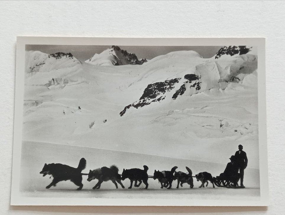 Jungfraujoch Hondenslee Aletschgletsjer jaren 40-60, Verzamelen, Ophalen of Verzenden, 1940 tot 1960