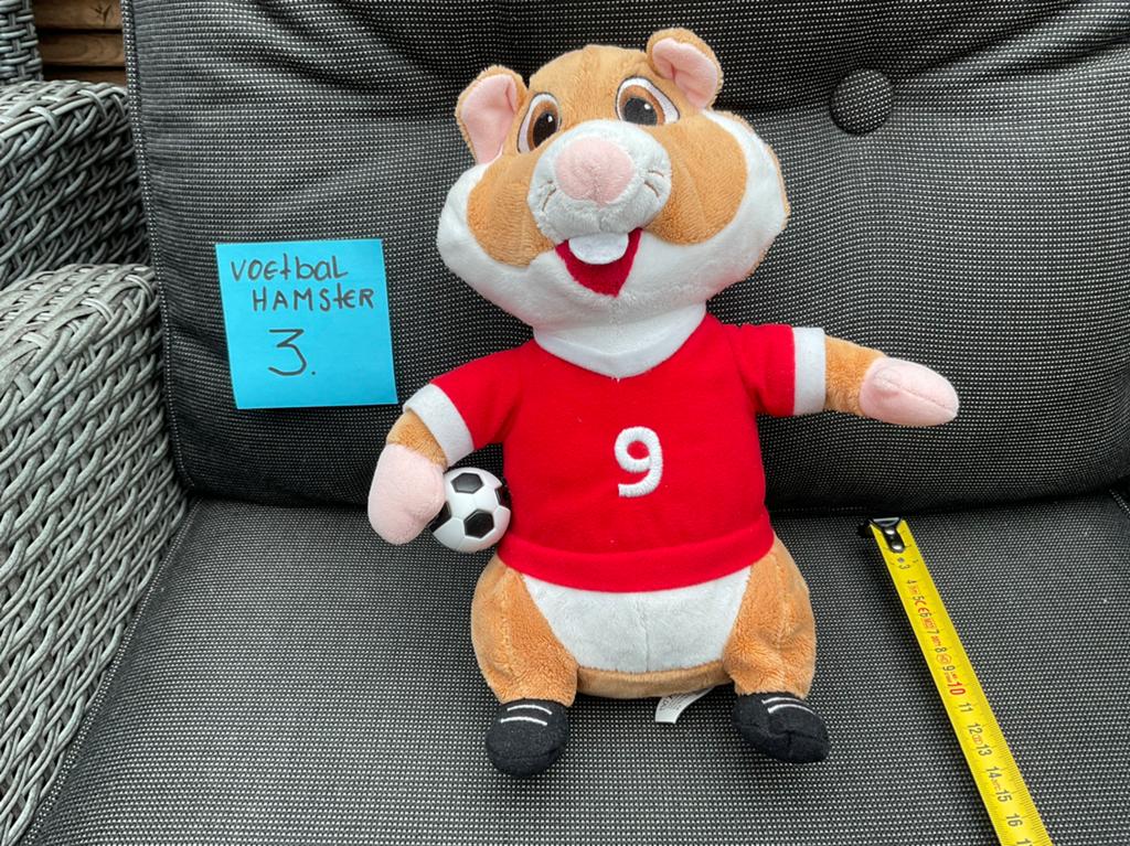 Nieuwe zgan voetbal hamster nummer 9 Albert Heijn, Albert Heijn, Ophalen