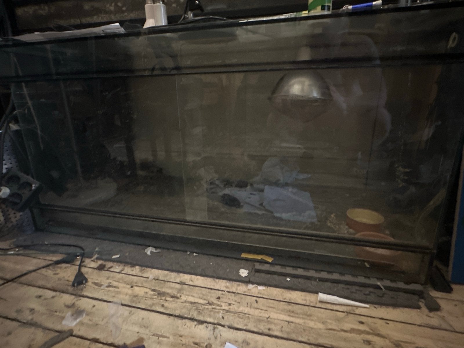 Terrarium 120x60x60, Dieren en Toebehoren, Ophalen