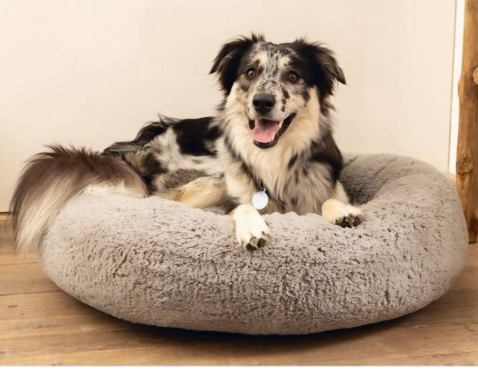 BEEZTEES ORTHOPEDISCHE MAND 70 CM DOORSNEDE JAXX ALS NIEUW, Ophalen, Zo goed als nieuw, Polyester