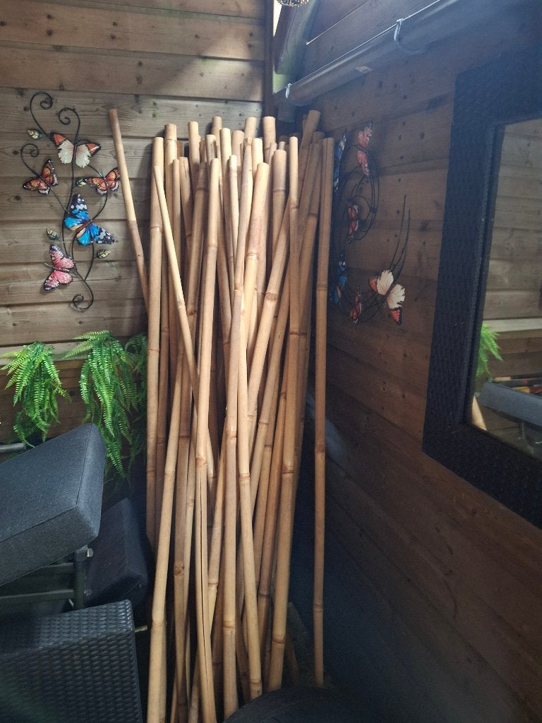 bamboe palen 20 stuks, Tuin en Terras, Palen, Balken en Planken, Ophalen, Gebruikt, 180 tot 250 cm, Palen