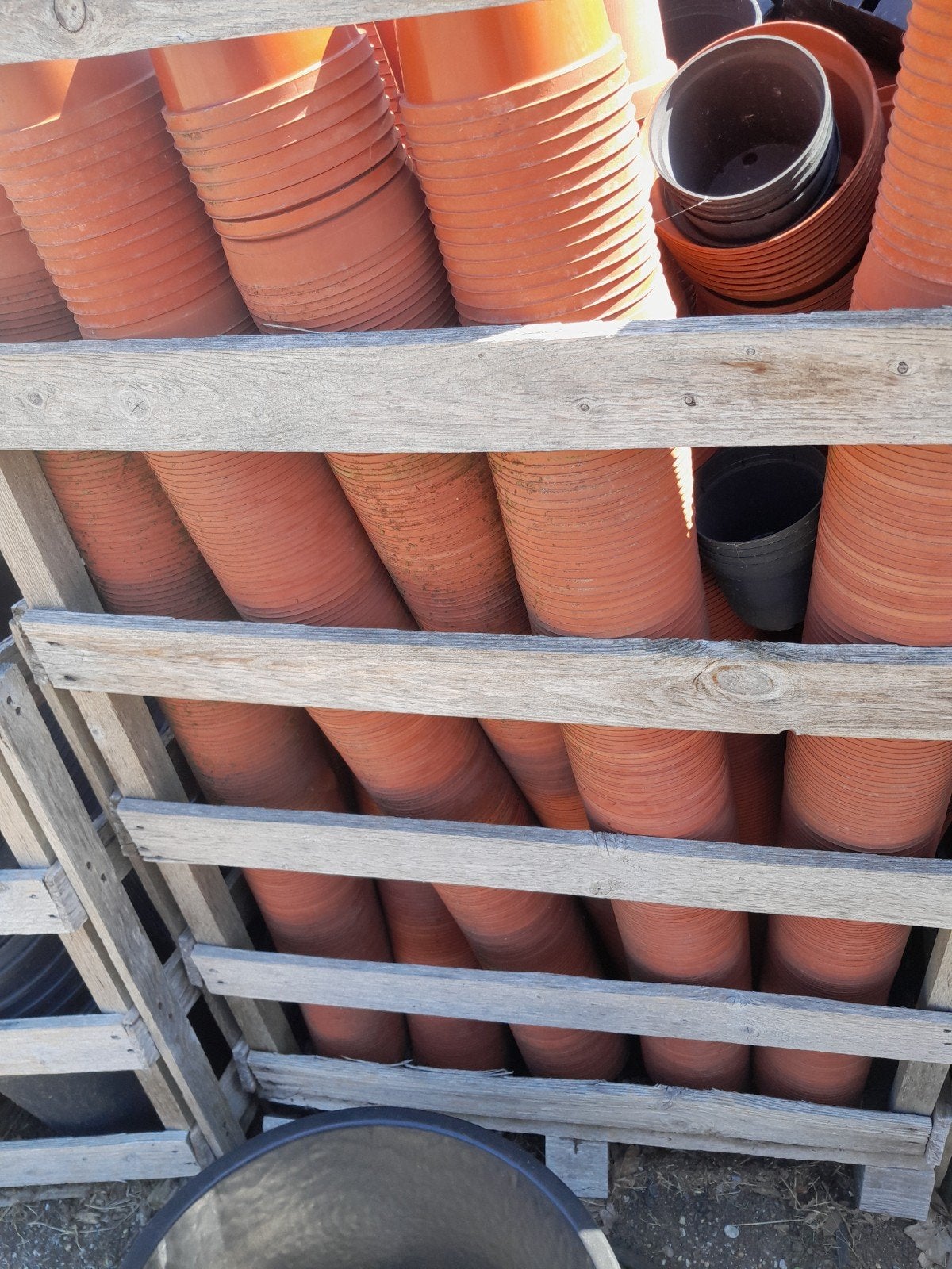Diverse gebruikte plantenpotten en kweekpotten, Ophalen, Gebruikt