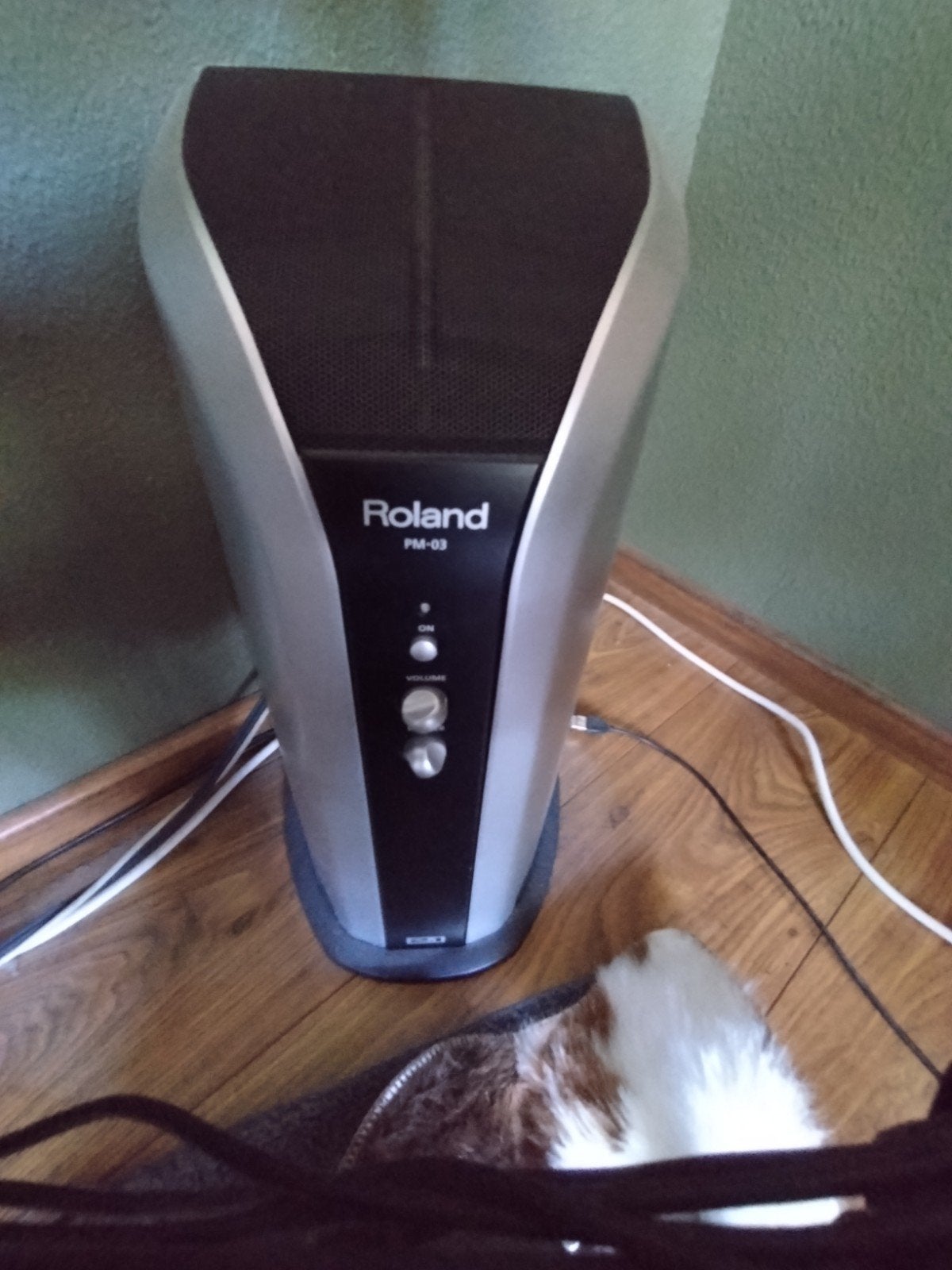 Roland PM-03 Personal Drum Monitor Speaker, Studiomonitor, Zo goed als nieuw, Minder dan 60 watt, Ophalen