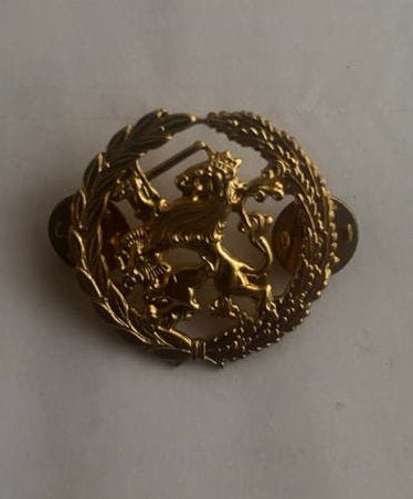 Individueel functie bekwaamheidsembleem nieuw, Verzamelen, Ophalen of Verzenden, Landmacht, Nederland, Embleem of Badge