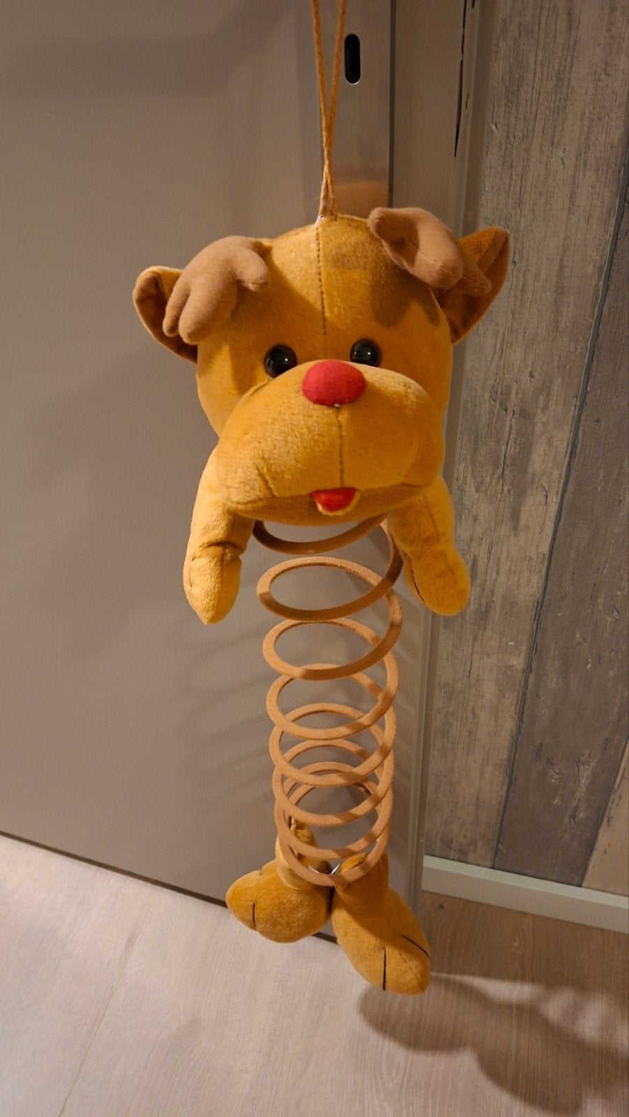 hond aan veer, Ophalen of Verzenden, Hond