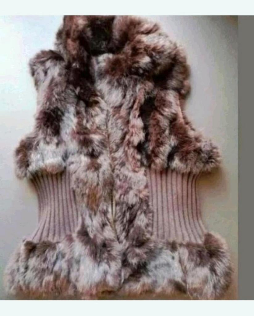 Bodywarmer, Ophalen of Verzenden, Zo goed als nieuw, Maat 38/40 (M), Zwart
