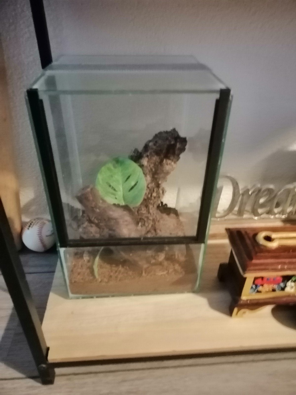 ZGAN klein terrarium., Dieren en Toebehoren, Reptielen en Amfibieën | Toebehoren, Ophalen, Zo goed als nieuw