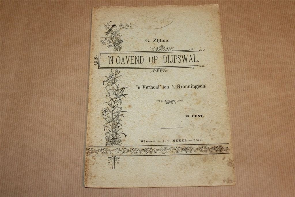 Oavend op Dijpswal — Zeldzaam Gronings Verhaal 1899, Boeken, Ophalen of Verzenden, Gelezen