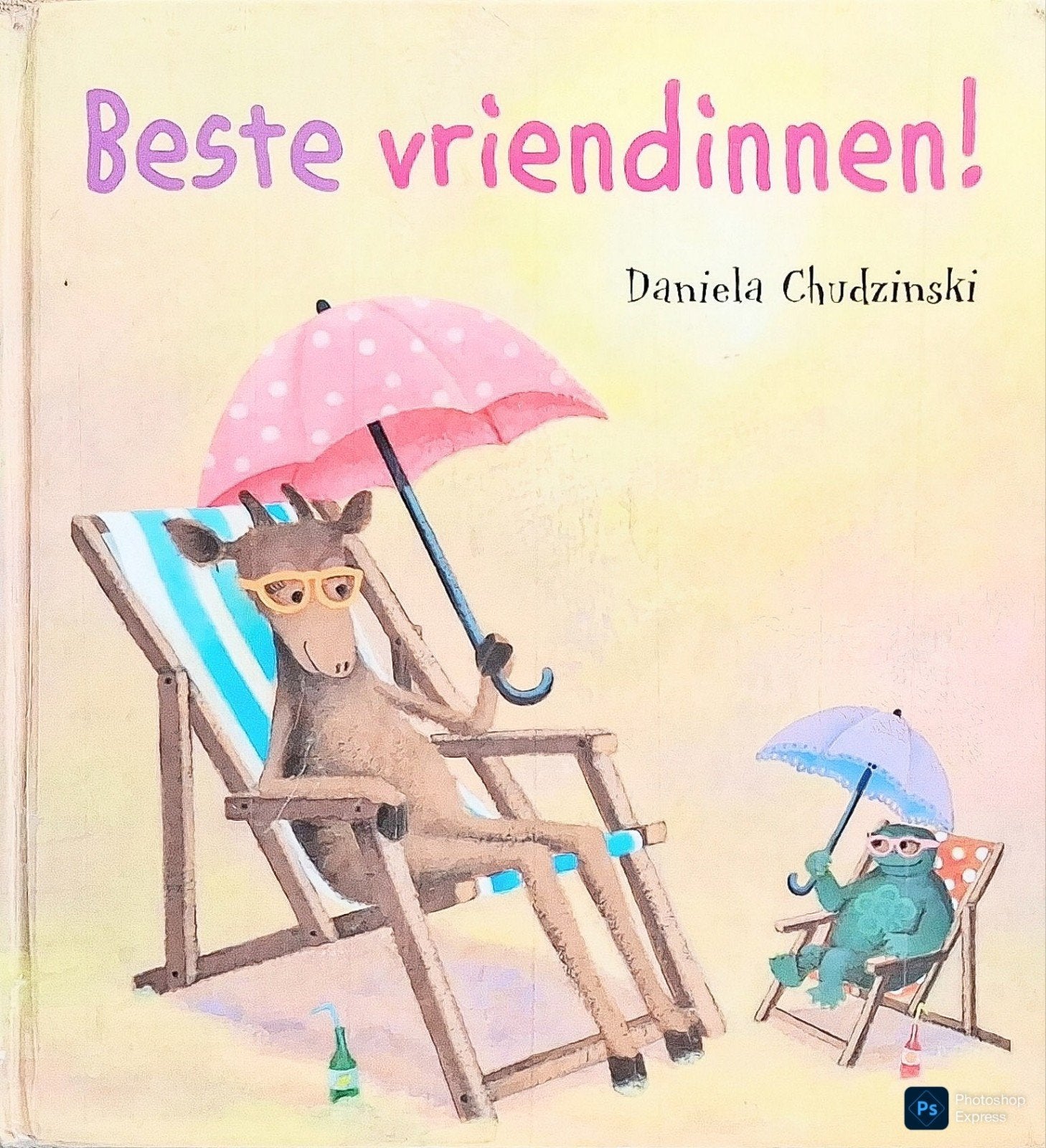 Beste Vriendinnen!, Boeken, Gelezen, Daniela Chudzinski., Fictie algemeen, Jongen of Meisje