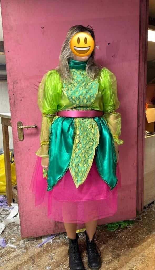 Loopgroep carnaval carnavalspakken carnavals optocht, Ophalen