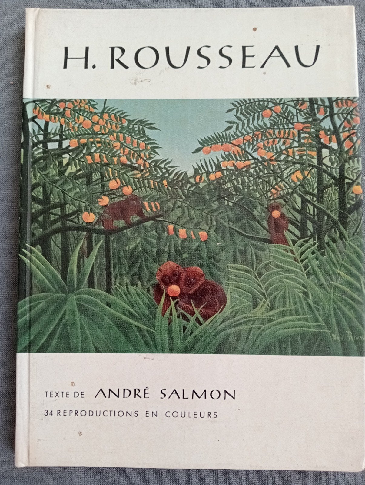 Henri Rousseau Naïeve Schilderkunst, Boeken, Ophalen of Verzenden, Gelezen