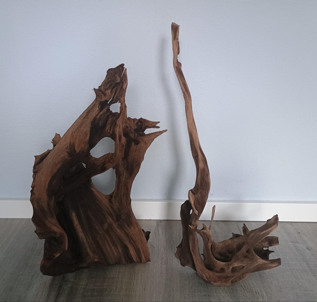 Mooie stukken kienhout, Ophalen, Plant(en), Steen of Hout