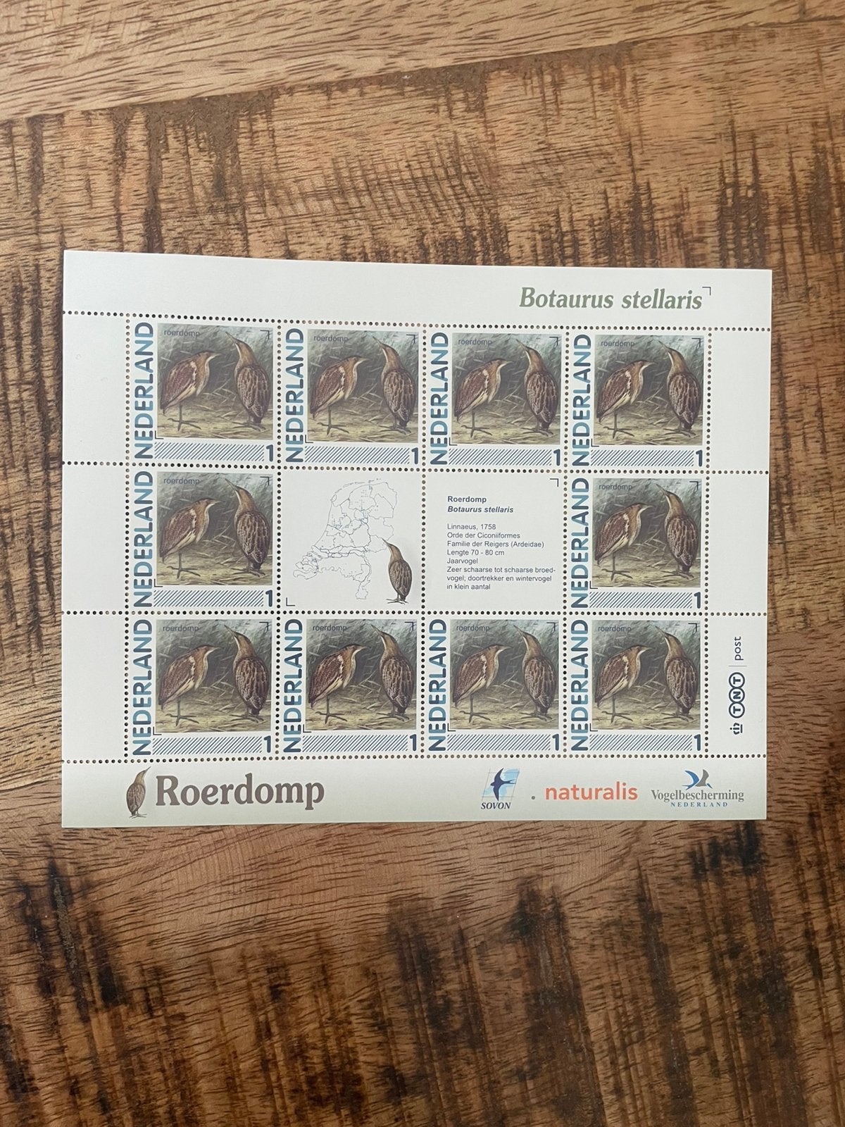Vel Persoonlijke Postzegels Vogels in Ned Roerdomp.Postfris., Ophalen of Verzenden, Na 1940, Postfris