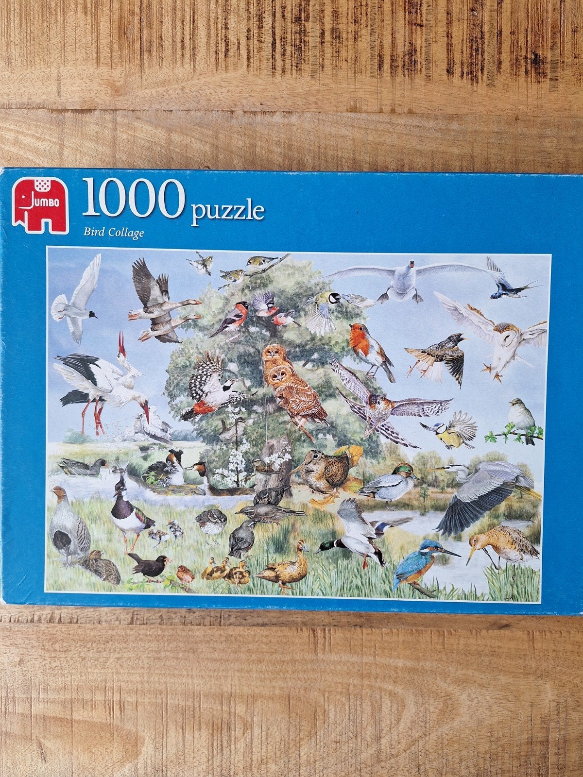Puzzel weidevogels 1000, Ophalen of Verzenden, 500 t/m 1500 stukjes, Zo goed als nieuw