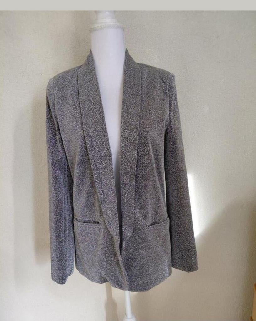Loavies Glitter Blazer Maat M, Kleding | Dames, Maat 38/40 (M), Ophalen of Verzenden, Jasje, Grijs