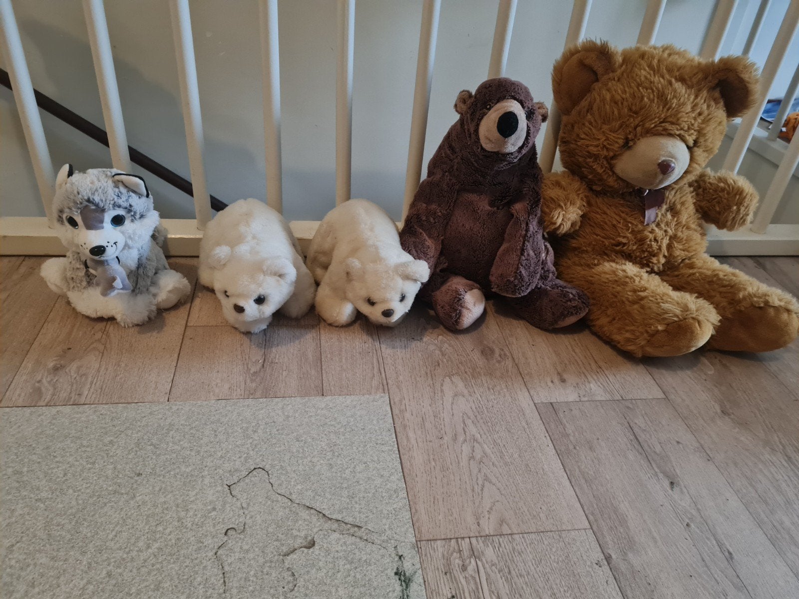 diverse knuffels, Gebruikt, Beer, Ophalen of Verzenden, Wasbaar
