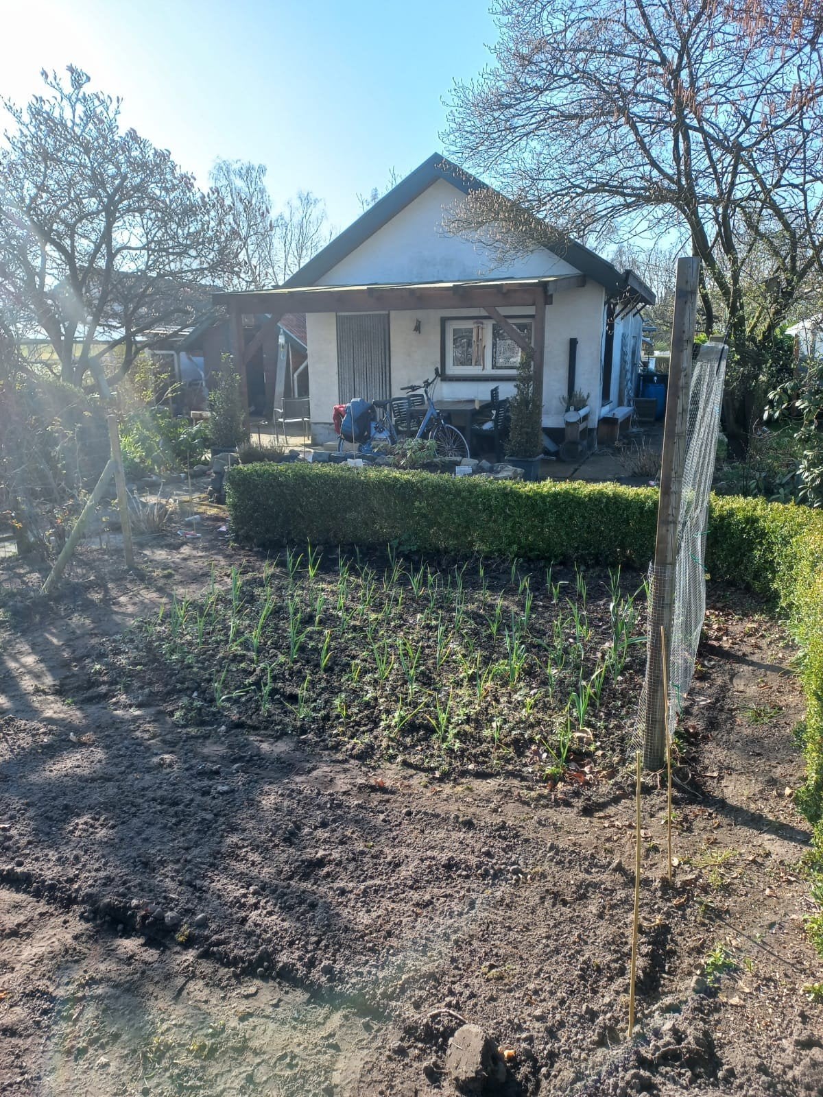 Moestuin in Gronau, met huisje, overkapping,  schuur en kas., Ophalen of Verzenden