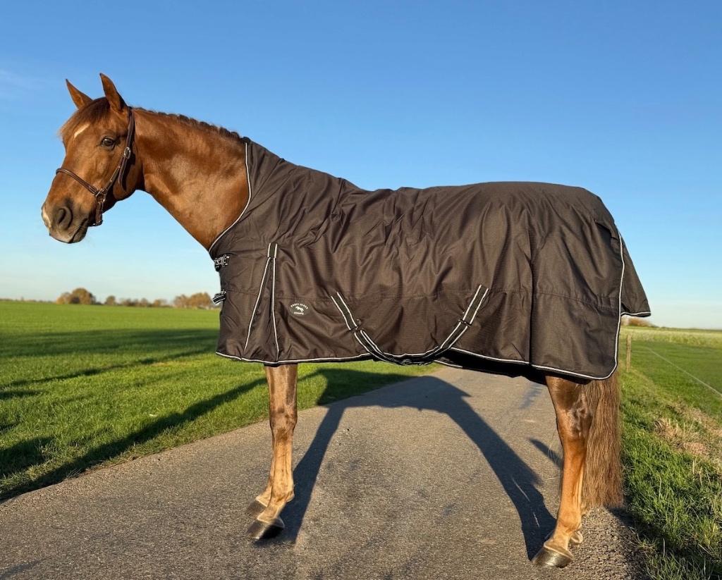 Profi-Rider Winterdeken Waterdicht High Neck 200g 175 tm 205, Ophalen of Verzenden, Nieuw, Deken