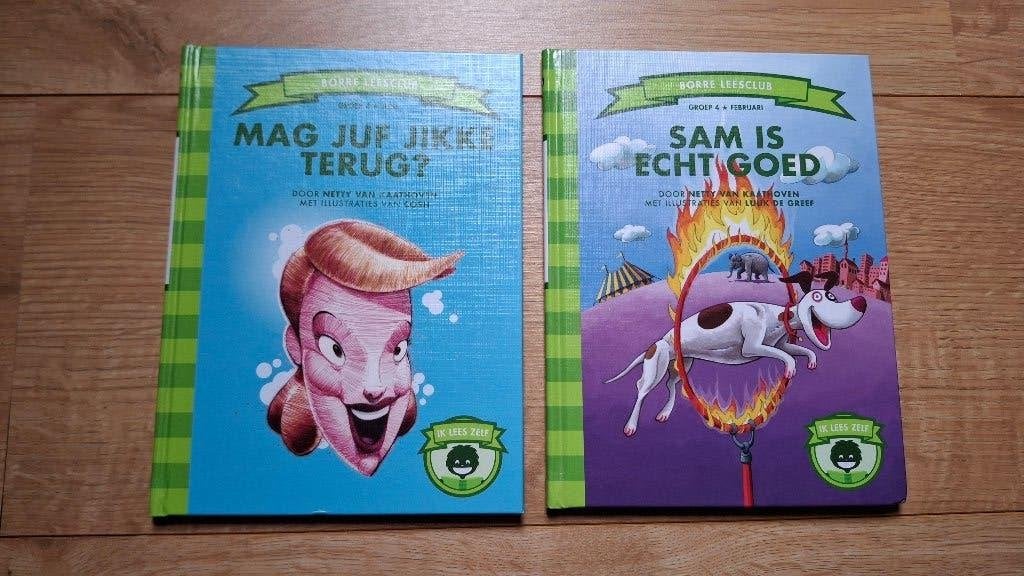 borre boekjes groep 4, Boeken, Ophalen of Verzenden, Zo goed als nieuw, Fictie algemeen