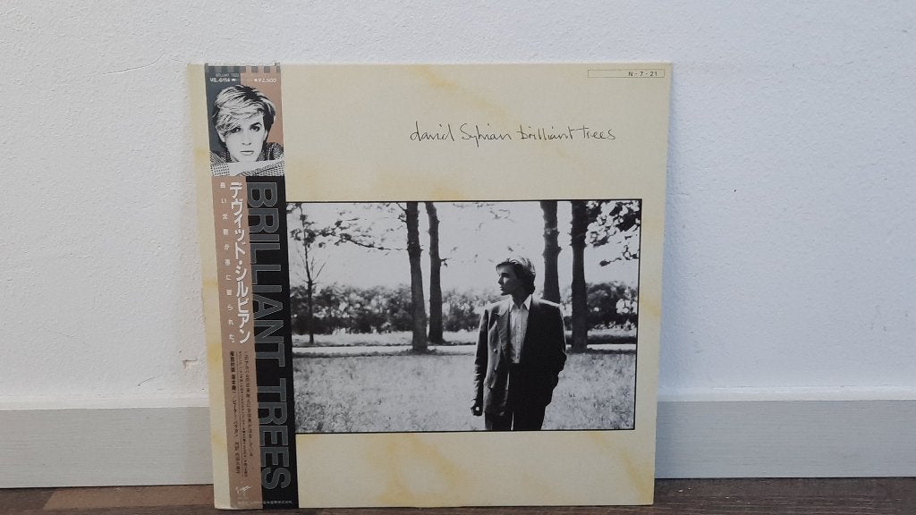 David Sylvian - Brilliant Trees LP / Vinyl Plaat, Art Rock, LP, Gebruikt, Overige genres, Ophalen of Verzenden