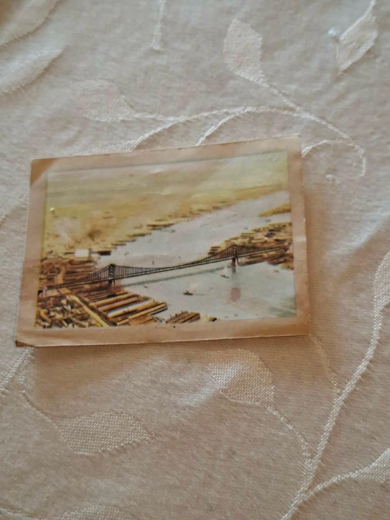 Prentje/Chromo : Delawarebrug / Chocolade Jacques, 1960 tot 1980, Gebruikt, Verzenden, Prent