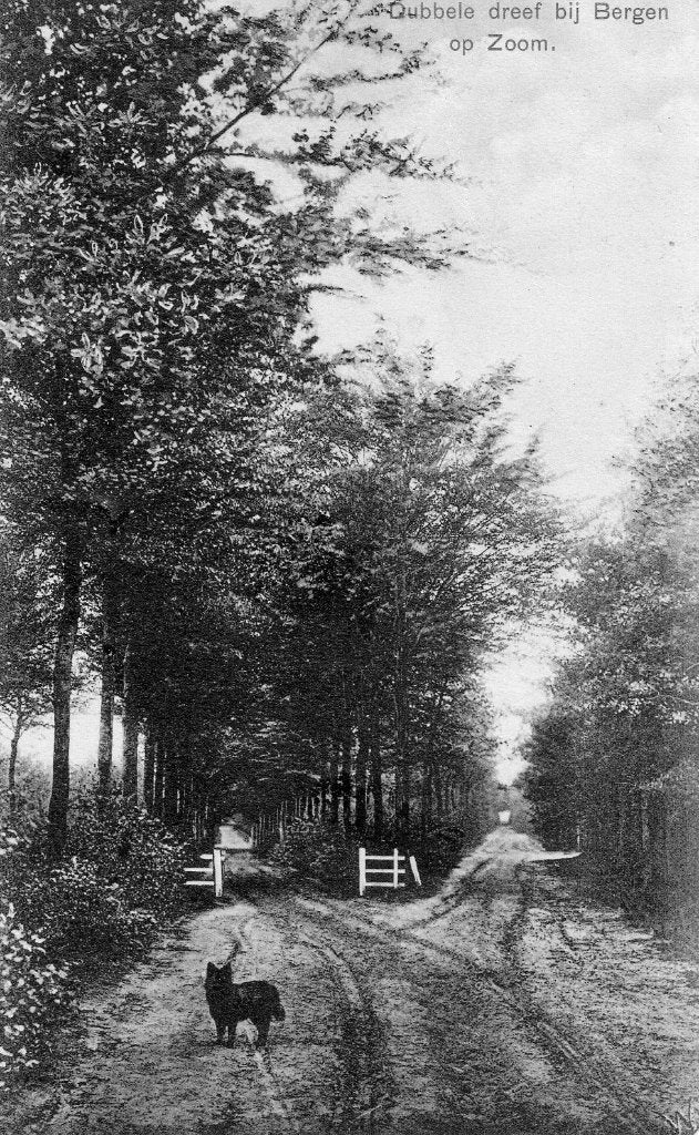 Bergen op Zoom, Verzenden, Voor 1920, Gelopen, Noord-Brabant