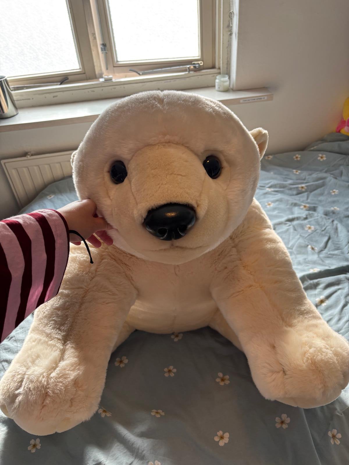 Lieve ijsbeer knuffel (nieuw!), Ophalen, Overige merken, Overige karakters, Overige typen