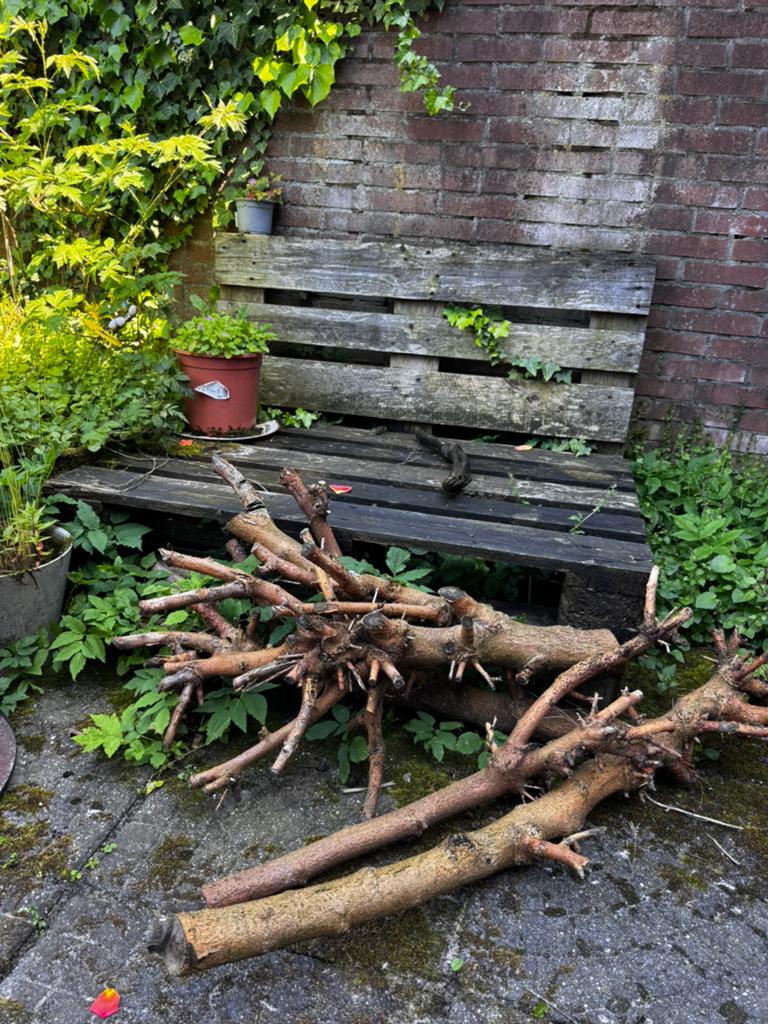 Oude pallets/ ijzeren bloemen rekje, Tuin en Terras, Haardhout, Minder dan 3 m³, Ophalen, Overige houtsoorten, Stammen