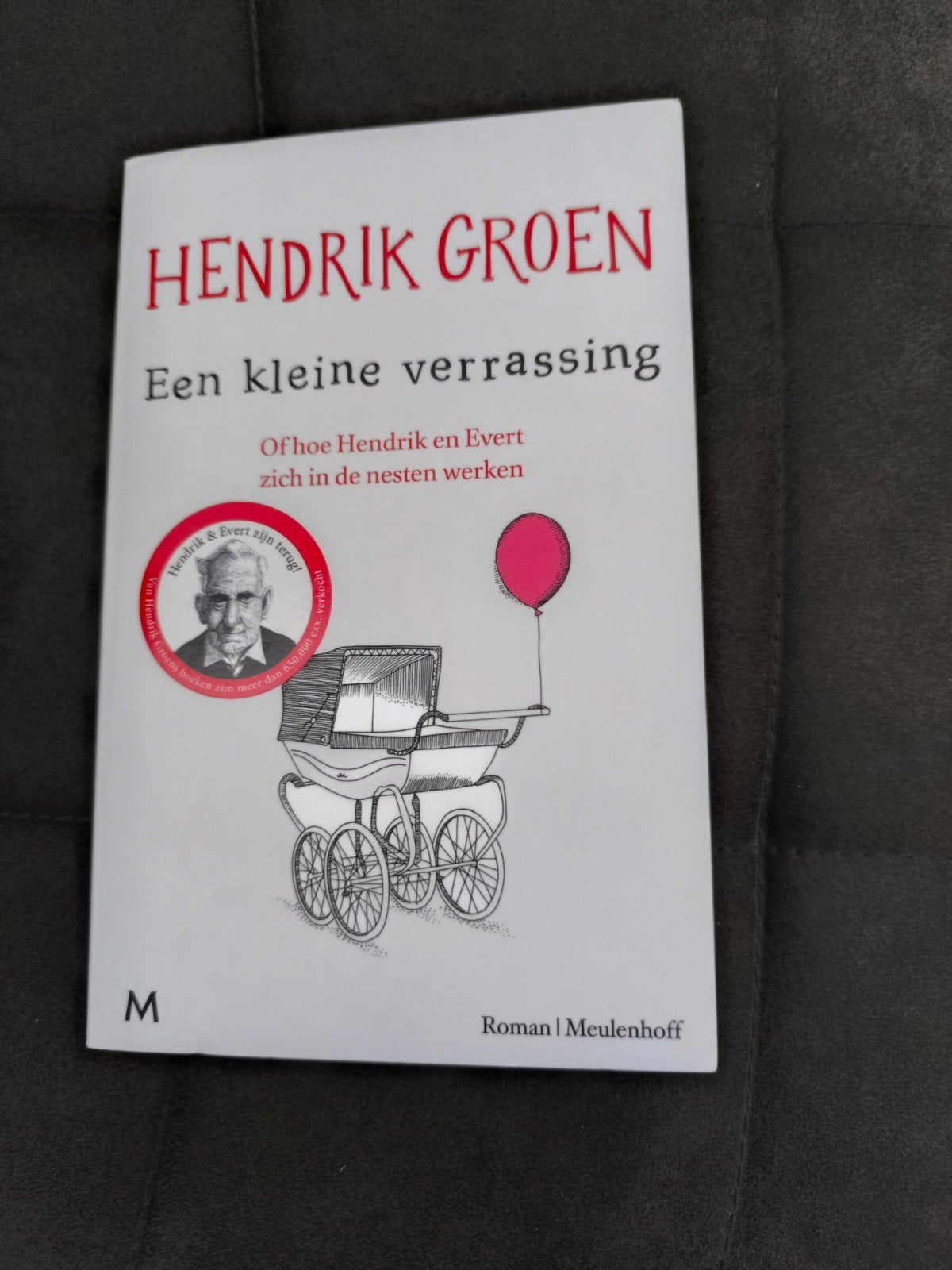 Hendrik Groen - Een kleine verrassing (nieuwstaat), Ophalen of Verzenden, Zo goed als nieuw, Hendrik Groen, Nederland