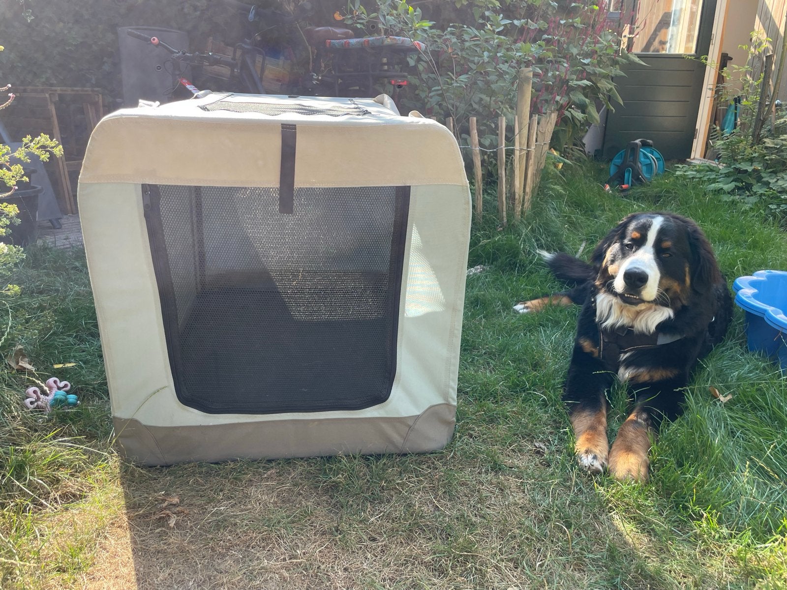 Beezteez honden reisbench XXL, Dieren en Toebehoren, Hondenbenches, Ophalen, Zo goed als nieuw