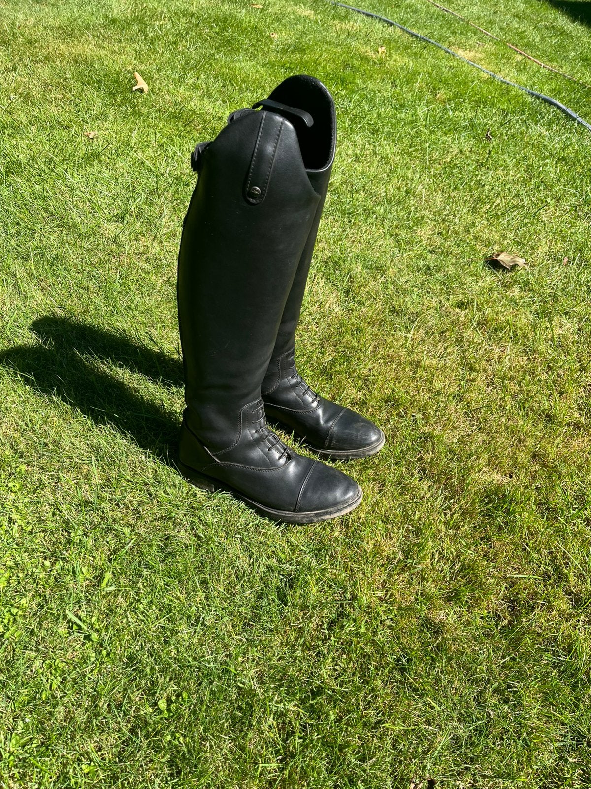Zwarte paardrijlaarzen, Dieren en Toebehoren, Paardrijkleding, Dames, Gebruikt, Ritssluiting, Dressuur
