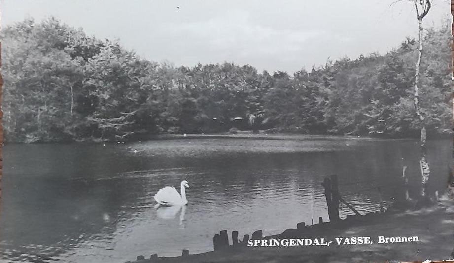 Vasse- Brunnen- Zwaan, Verzenden, 1940 tot 1960, Gelopen, Overijssel
