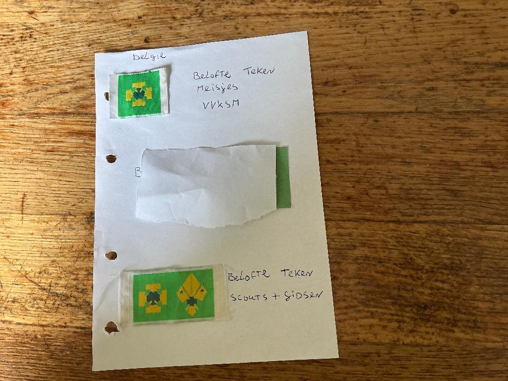 Scouting, Ophalen of Verzenden, Zo goed als nieuw, Embleem, Speld of Insigne