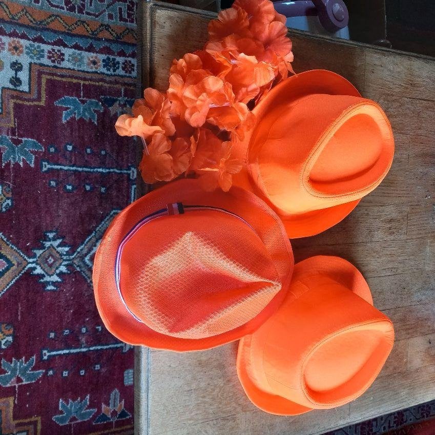 oranje hoeden   + boa's, Ophalen of Verzenden, Nieuw, One size fits all