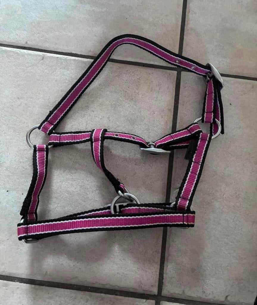 Mini veulen halster epplejeck, Ophalen of Verzenden, Zo goed als nieuw, Overige soorten