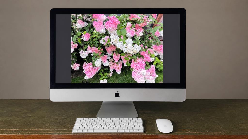 Uitstekend werkende iMac Apple 2 TB geheugen, Computers en Software, Apple Desktops, Ophalen, HDD en SSD, 32 GB, IMac