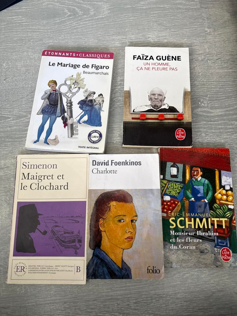 Franse boeken: Le Mariage de Figaro, Maigret, Charlotte, Ophalen of Verzenden, Gelezen, Europa overig
