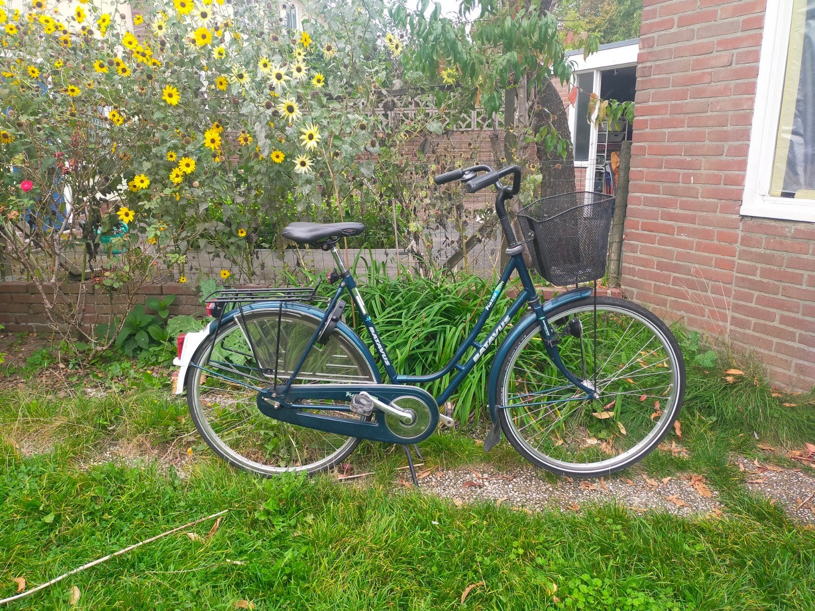 Batavus damesfiets met mand, Ophalen, Terugtraprem, Batavus, 53 tot 56 cm