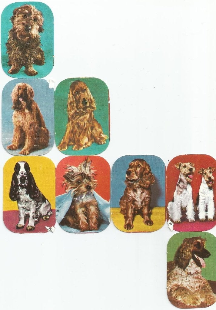 poezieplaatjes honden, Ophalen of Verzenden