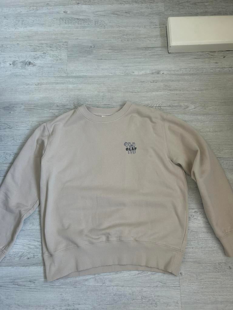 Sweater olaf, Ophalen, Zo goed als nieuw, Maat 46 (S) of kleiner, Beige