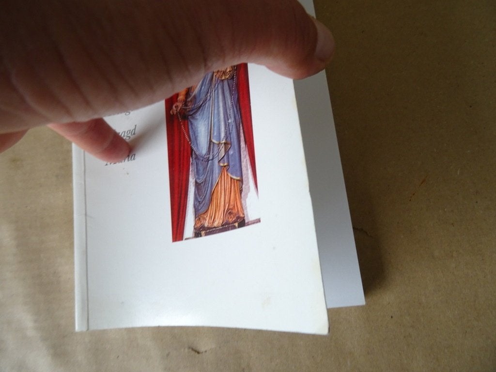 M. P. van Blijswijk De Rozenkrans van de Heilige Maagd Maria, Boeken, M. P. van Blijswijk, Christendom | Katholiek, Ophalen of Verzenden