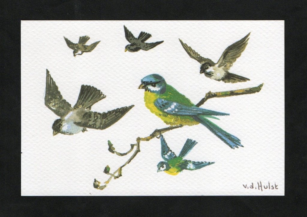 W.G. van de Hulst Vogels Koolmees Mus Merel., Ophalen of Verzenden, 1980 tot heden, Ongelopen, Cultuur en Media